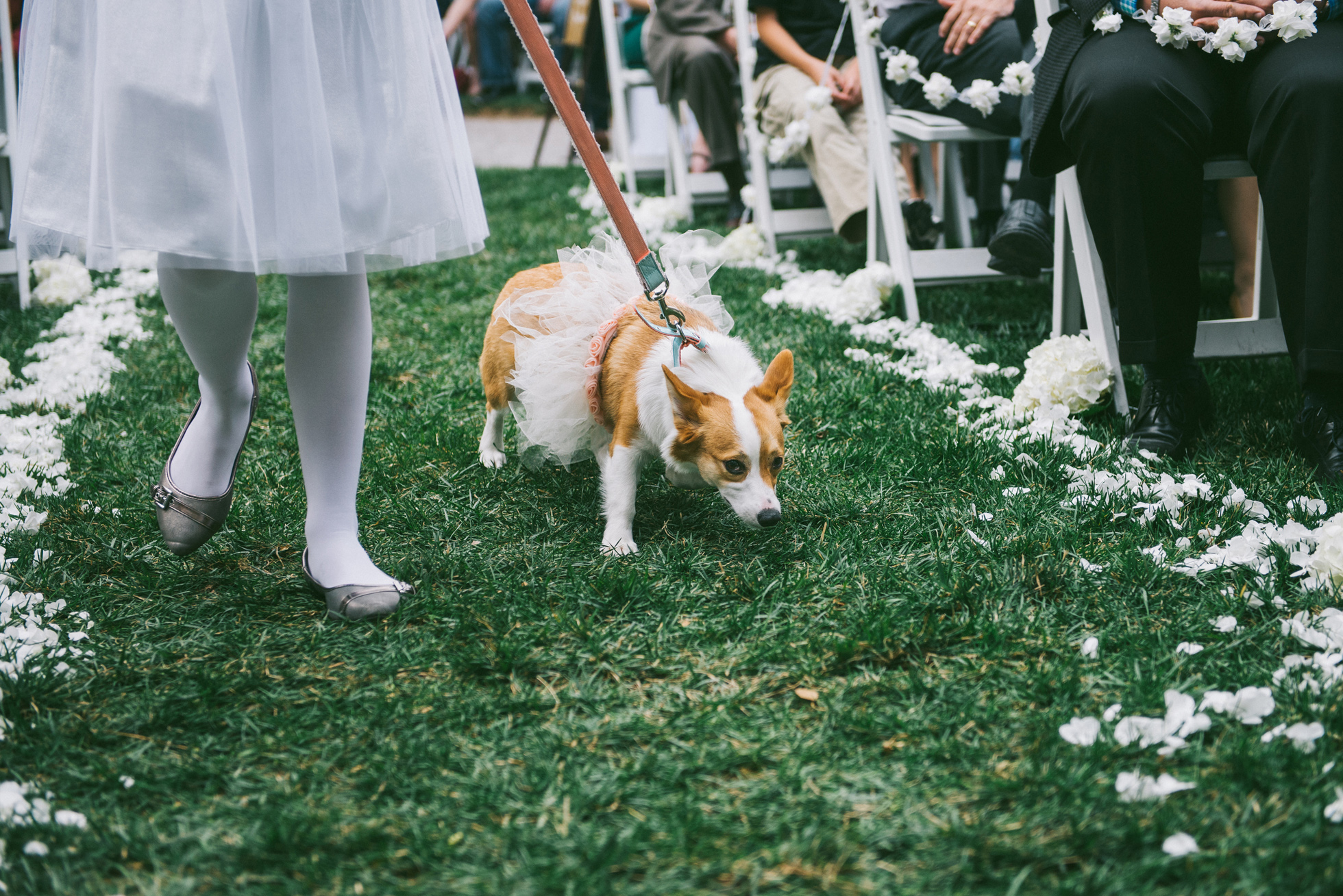 tulsa wedding photographer