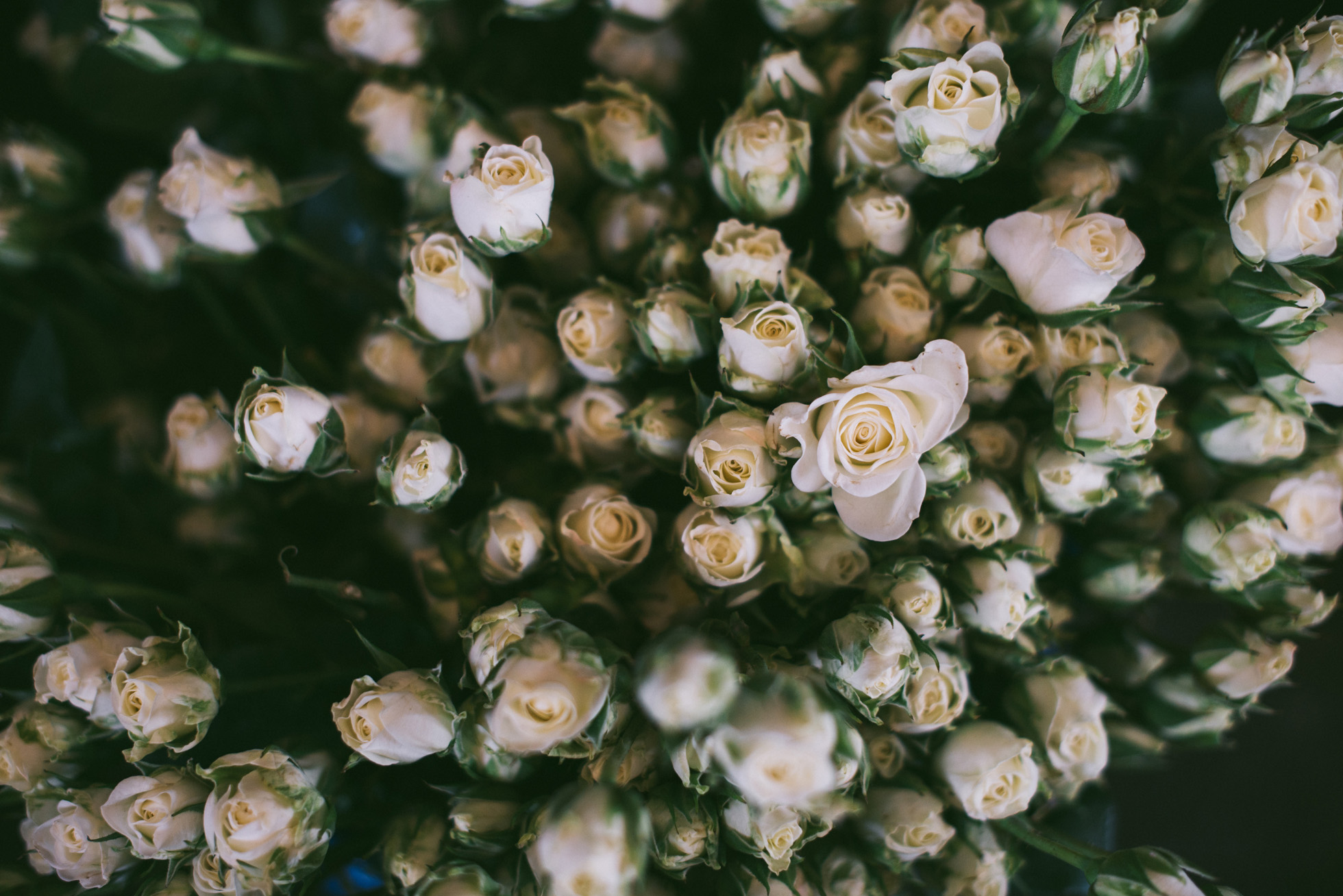 Broadway Warehouse in Automobile Alley Wedding