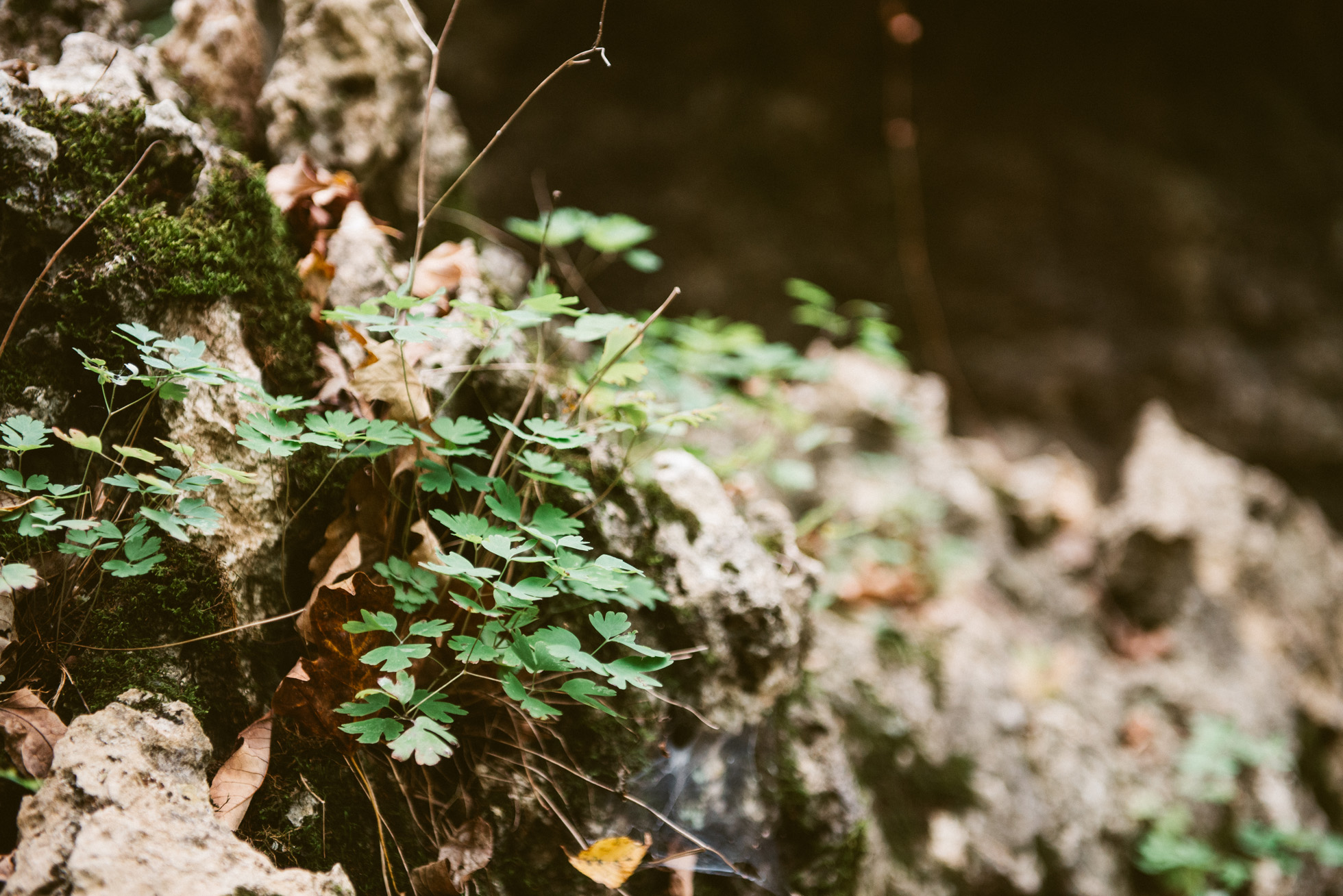 Tulsa Wedding Photographer
